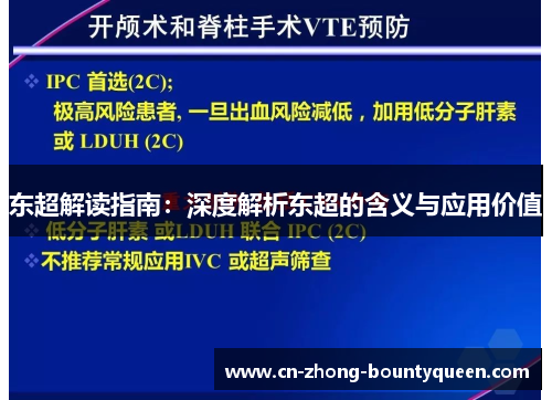 东超解读指南：深度解析东超的含义与应用价值