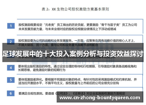 足球发展中的十大投入案例分析与投资效益探讨