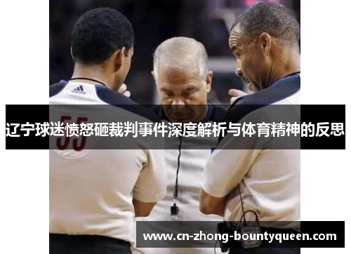 辽宁球迷愤怒砸裁判事件深度解析与体育精神的反思