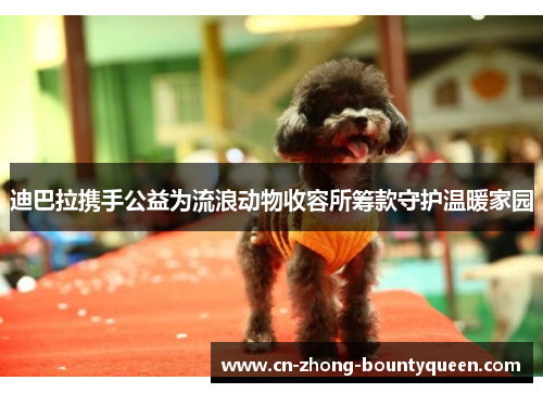迪巴拉携手公益为流浪动物收容所筹款守护温暖家园