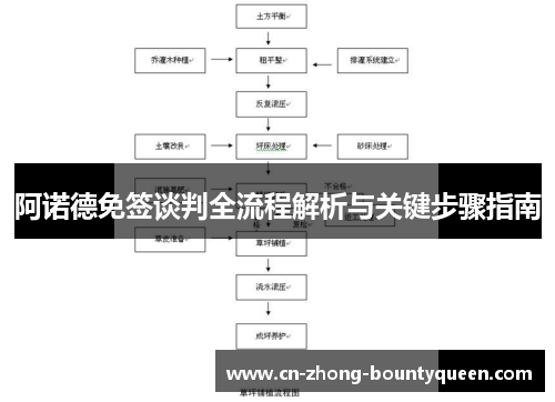 阿诺德免签谈判全流程解析与关键步骤指南